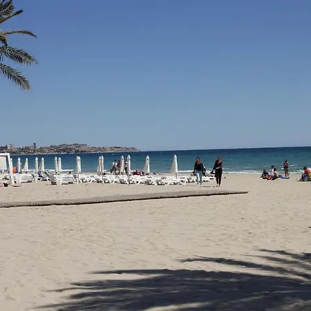 Najera Alicante